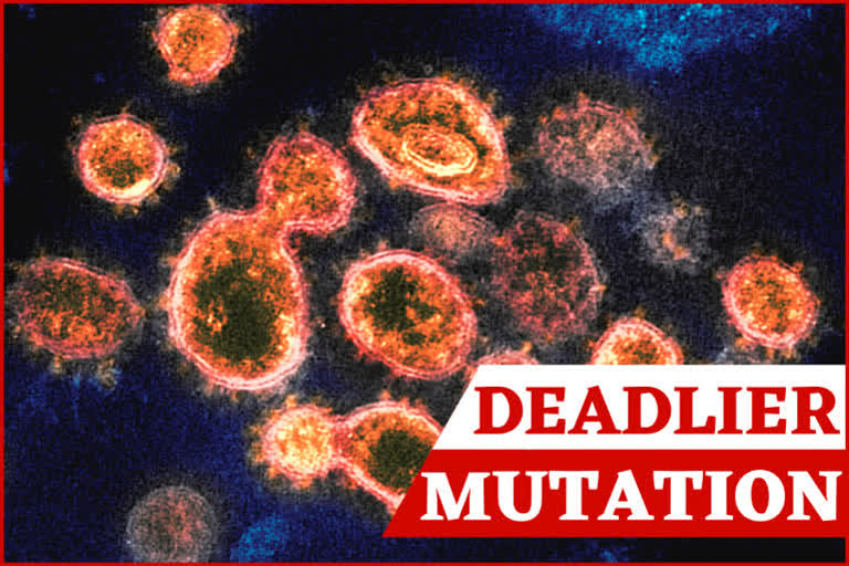 Delta Plus variant  Delta + K417N  Delta Plus  coronavirus  Karnataka  Karnataka covid  covid cases in Karnataka  ഡെൽറ്റ പ്ലസ്ഡെൽറ്റ പ്ലസ് വകഭേദം  കർണാടക  കർണാടക കൊവിഡ്  ഡെൽറ്റ  ഡെൽറ്റ വകഭേദം  Delta  Delta variant  കൊറോണ വകഭേദം  corona varient