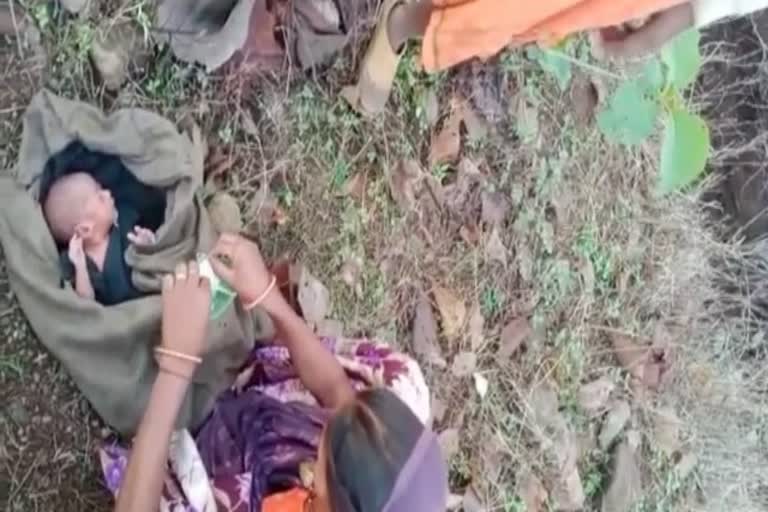 newborn found in bushes, Pratapgarh news