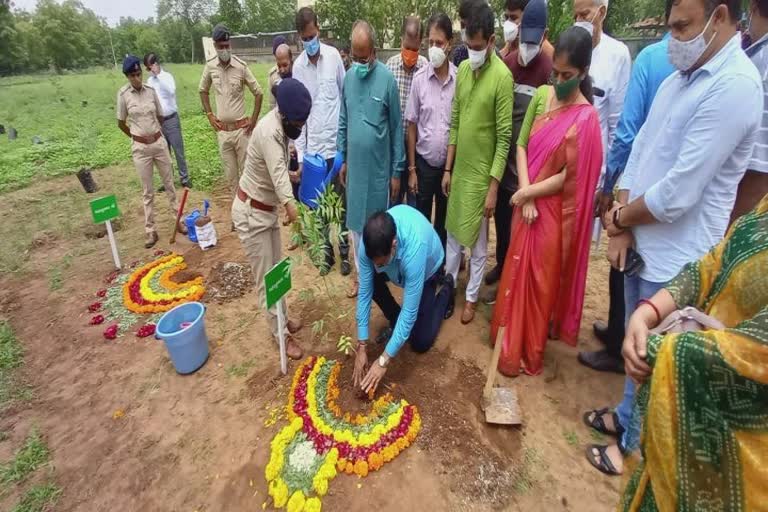 Plantation: ગાંધીનગર મનપા વિસ્તારમાં 1.61 લાખથી વધુ ફૂલછોડ, મોટા વૃક્ષોનું રોપણ કરાશે