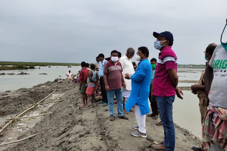 a special team constructed by calcutta high court visit raidighi mangrove area