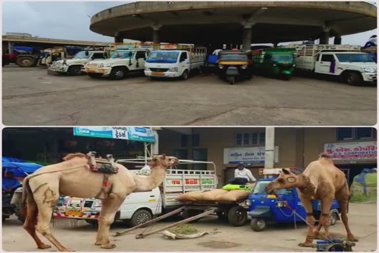 MSP price of millet: ત્રણ વર્ષથી બાજરીના ભાવ ન વધતાં ખેડૂતો થયાં નિરાશ