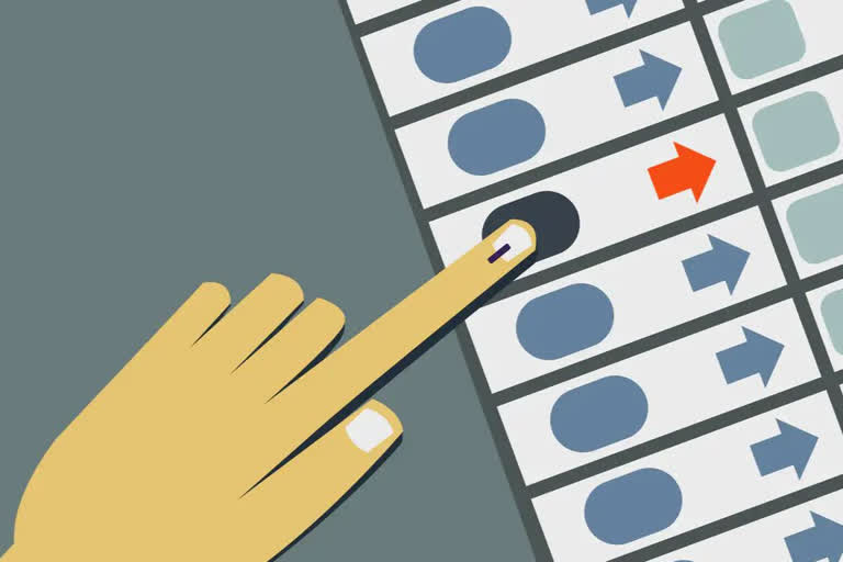 haryana Municipal election draw