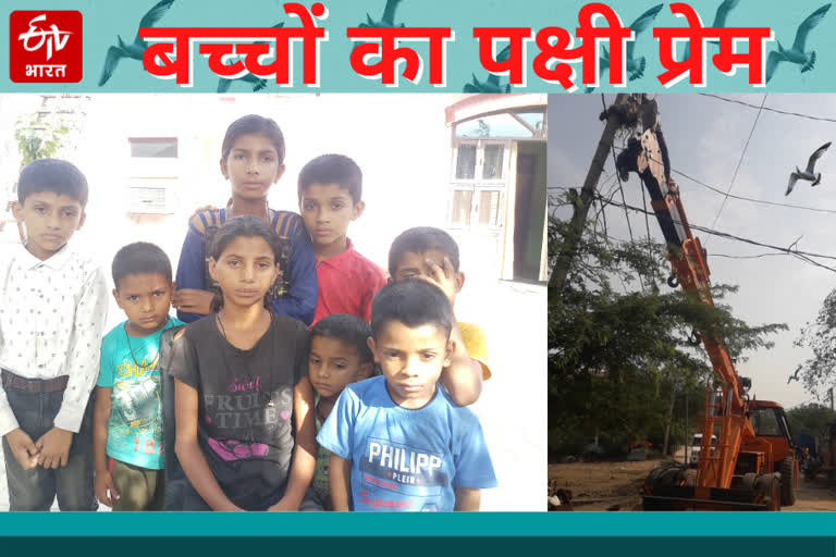 carried chick to nest by crane,  Bhiwadi News