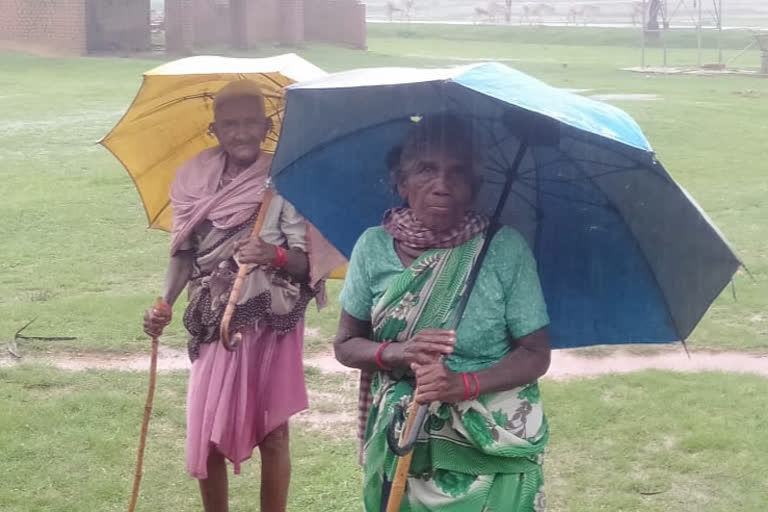 old women took vaccine by going to the center on foot for 2 km in gumla