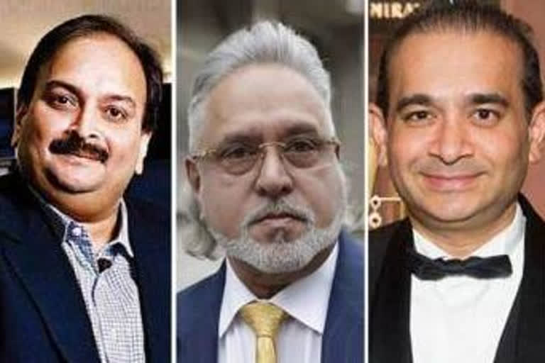 ed transfer rs 9371 crore asset of vijay mallay nirav modi mehul choksi to bank