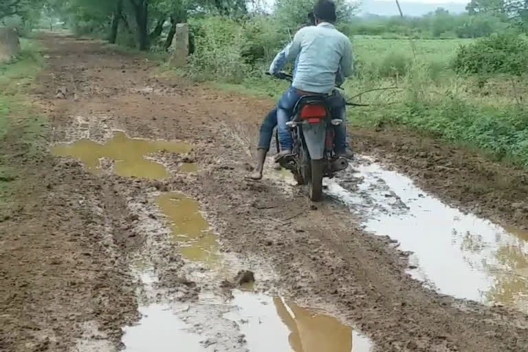 jabalpur villagers facing trouble due to dirt track road