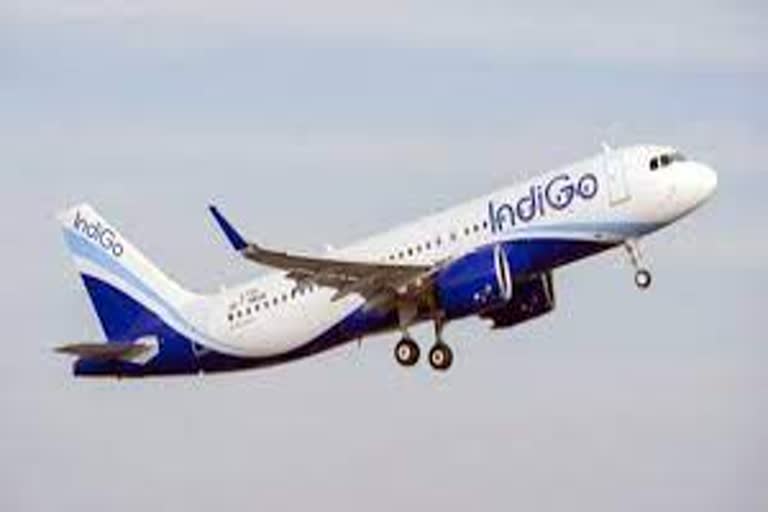 IndiGo offers 10 discount to vaccinated passengers