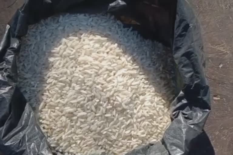 plastic-rice-found-in-silonijan-of-karbianglang-assam