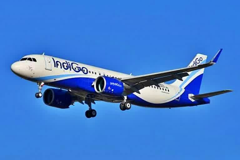 IndiGo launches special discount on its flights for vaccinated customers