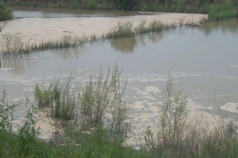 sonipat canal broke