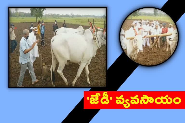 Former CBI Jedi Lakshminarayana doing farming