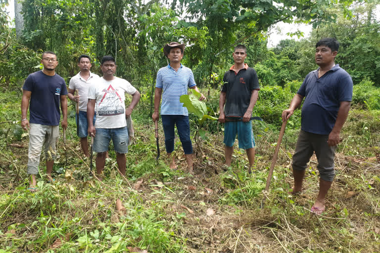 Youth from Tingrai trying to save plants