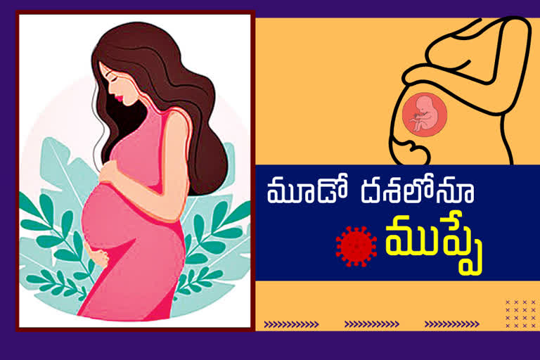 corona cases in telangana, corona third wave, third wave corona effect on pregnant women