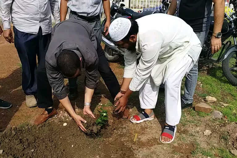 auqaf e shahi tree planting in qabristan bhopal