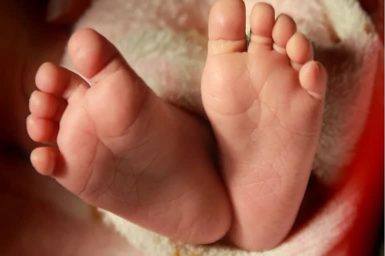 baby-dead-body-at-harichandrapuram