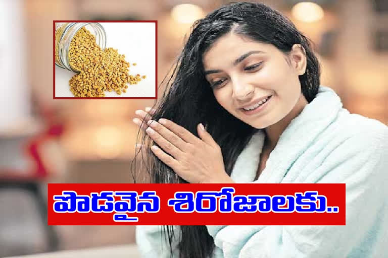 Beauty Tips: జుట్టు పెరిగేందుకు మెంతులు