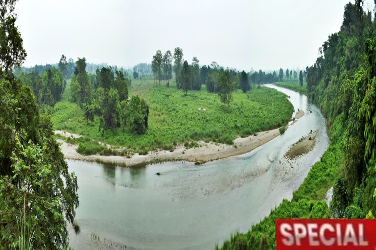 west bengal forest protection force