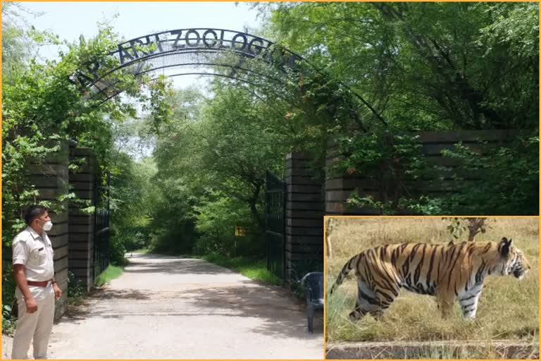 Nahargarh Biological Park, Rajasthan unlock news