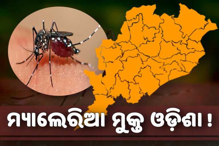 ମ୍ୟାଲେରିଆ ଶୂନ୍ୟ ଦିଗରେ ଓଡ଼ିଶା; ତିନି ବର୍ଷରେ ପଜିଟିଭ୍ ହାର ୯୦ ପ୍ରତିଶତ ହ୍ରାସ