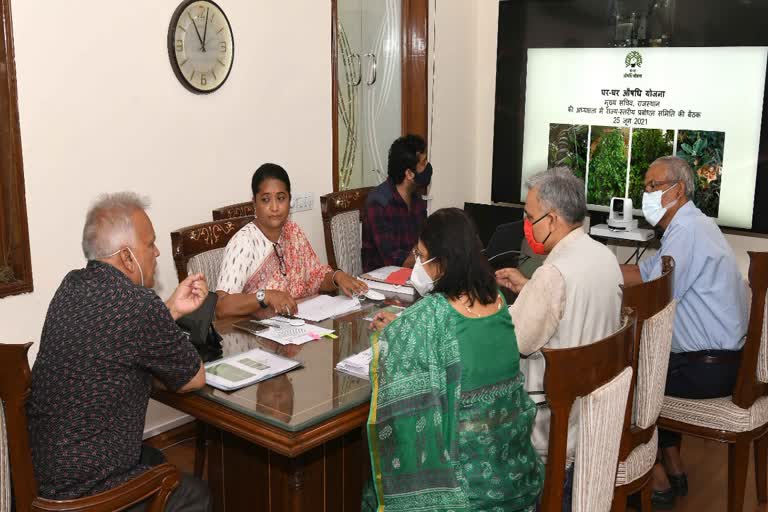 मुख्य सचिव,  औषधीय पौधे,  वर्चुअल बैठक , chief Secretary,  medicinal plants, virtual meeting, Jaipur News