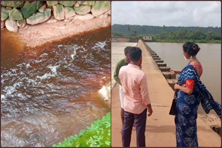 Senior Civil Judge A.G.Shilpa View of the polluted water from the Phalguni River