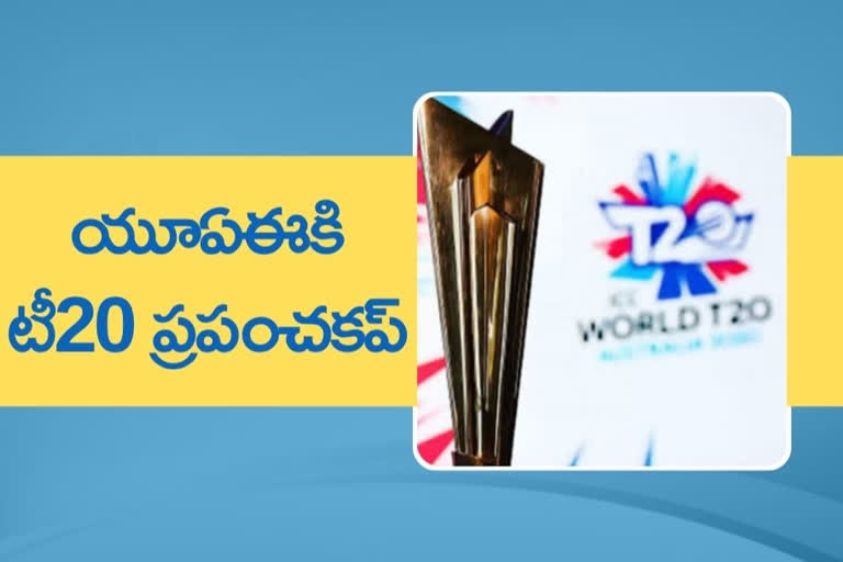 T20 World Cup