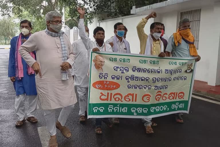 naba nirman krushak sangathan gave memorandum to governor