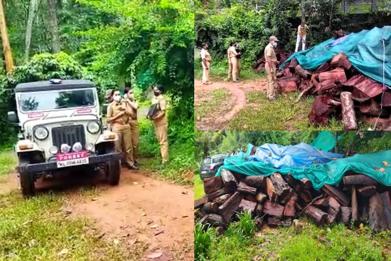 ഇടുക്കിയിലെ അനധികൃത മരംമുറി  ഇടുക്കിയിലെ അനധികൃത മരംമുറി സിപിഐ നേതാവുൾപ്പെടെ മൂന്ന് പേർക്കെതിരെ കേസ്  Case registered against three including cpi leader in Idukki tree felling  Idukki tree felling  tree felling  Idukki