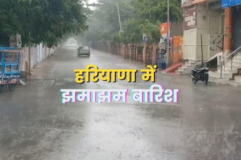 Gohana Rain