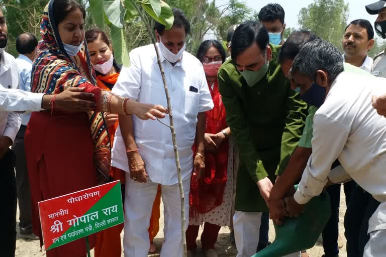 Environment Minister gopal rai started Forest Festival