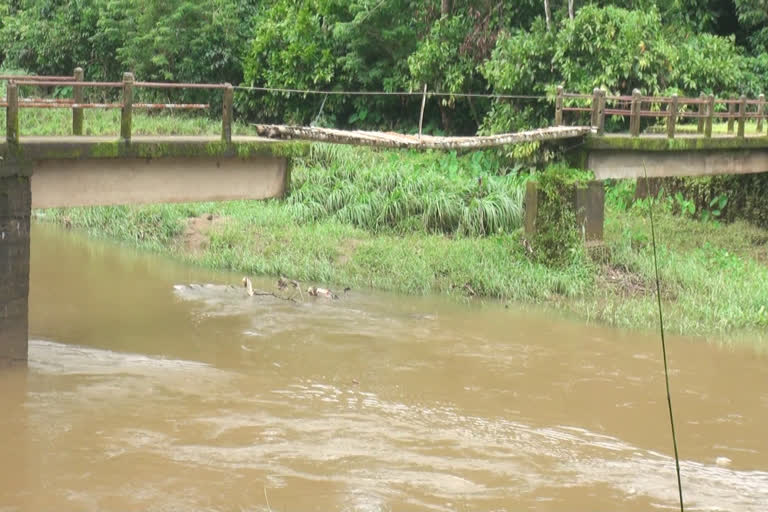 bridge issue in idukki  idukki news  idukki flood news  ഇടുക്കി വാർത്തകള്‍  12ആം മൈല്‍ പാലം  2018 പ്രളയം