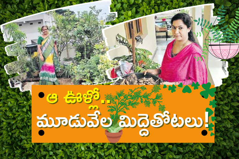 home-composting-with-terrace-gardens-in-vizianagaram