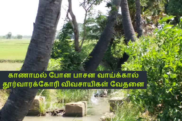 thiruvarur news  thiruvarur latest news  thiruvarur nannilam farmers asking for digging drainage  digging drainage  திருவாரூர் செய்திகள்  திருவாரூர் மாவட்ட செய்திகள்  திருவாரூர் நன்னிலத்தில் வாய்காளை தூர்வாரக்கோரி விவசாயிகள் வேண்டுகோள்  வாய்காளை தூர்வாரக்கோரி விவசாயிகள் வேண்டுகோள்  நன்னிலத்தில் வாய்காளை தூர்வாரக்கோரி விவசாயிகள் வேண்டுகோள்  விவசாயிகள் கோரிக்கை  விவசாயி  farmer needs  farmers