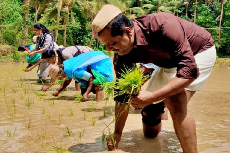 mangalore