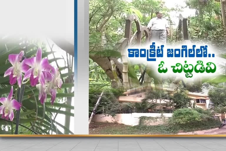 doctor making gardening in guntur