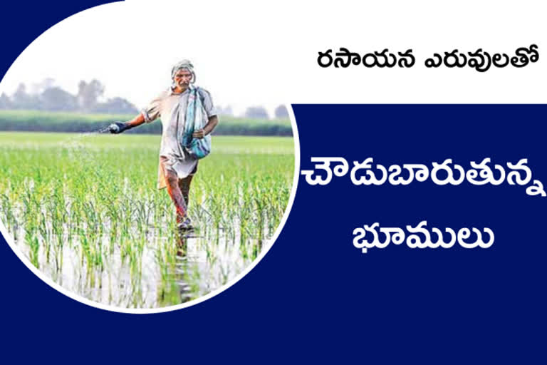 quality of crops in india, పంటల్లో పోషకాల లోపం