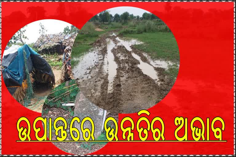 ଉପାନ୍ତ ଅଞ୍ଚଳରେ ପହଞ୍ଚି ପାରୁନି ସରକାରଙ୍କ କଲ୍ୟାଣକାରୀ ଯୋଜନା