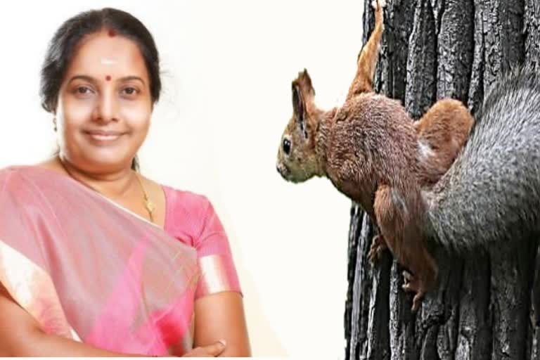 vanathi srinivasan criticized dmk for power cut problem