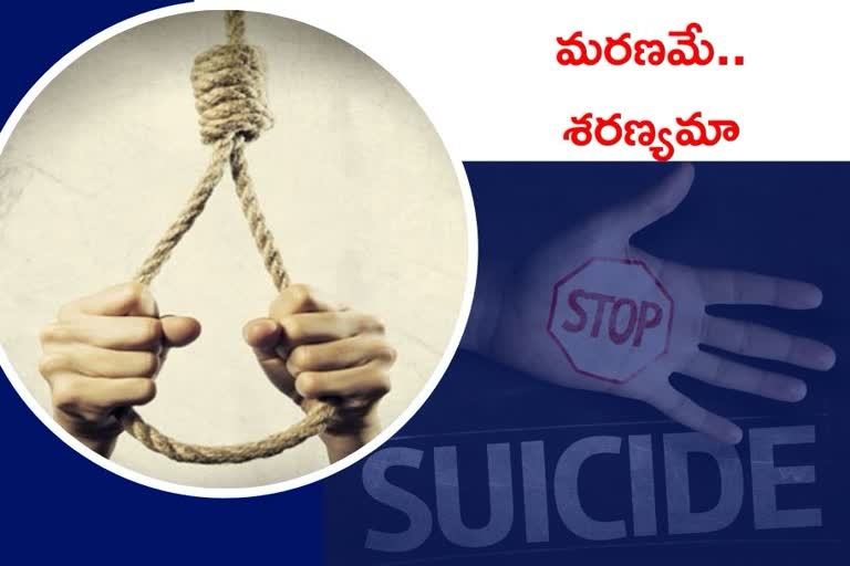 suicide, nalgonda