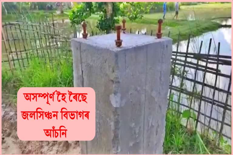 Corruption in Scheme implementation at amguri