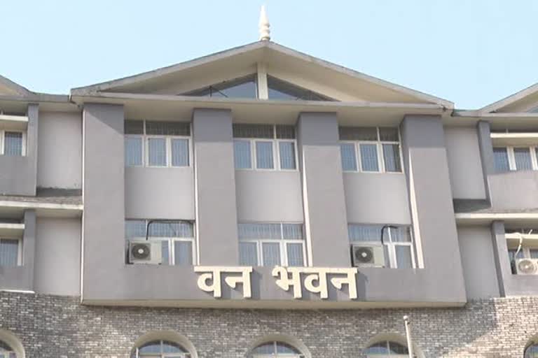 forest department