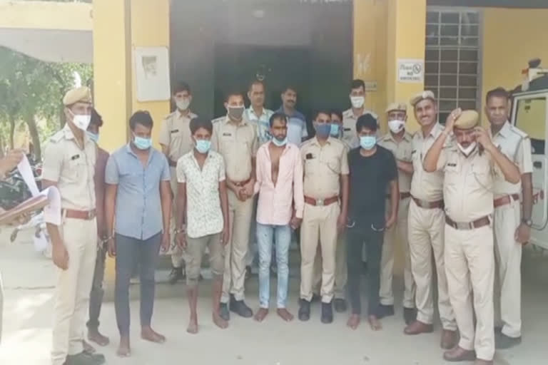 गौ तस्कर गिरफ्तार, cow smuggler arrested in alwar