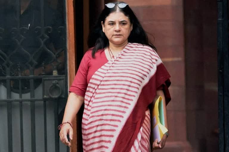 maneka-gandhi