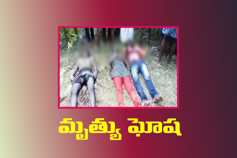 ముగ్గురు మృతి