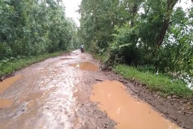 তিনটি জেলার সংযোগকারী রাস্তার বেহাল দশা