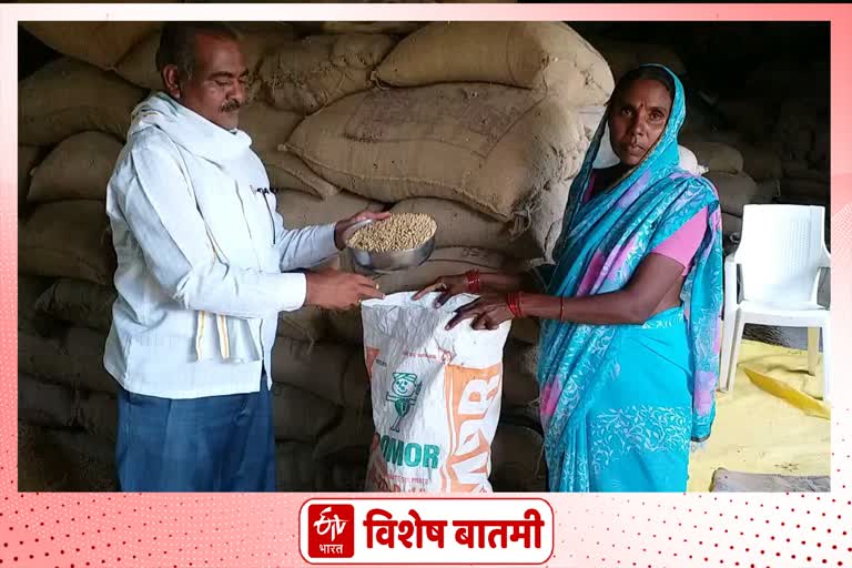 farmer became millionaire by selling homemade soybean seeds in akola