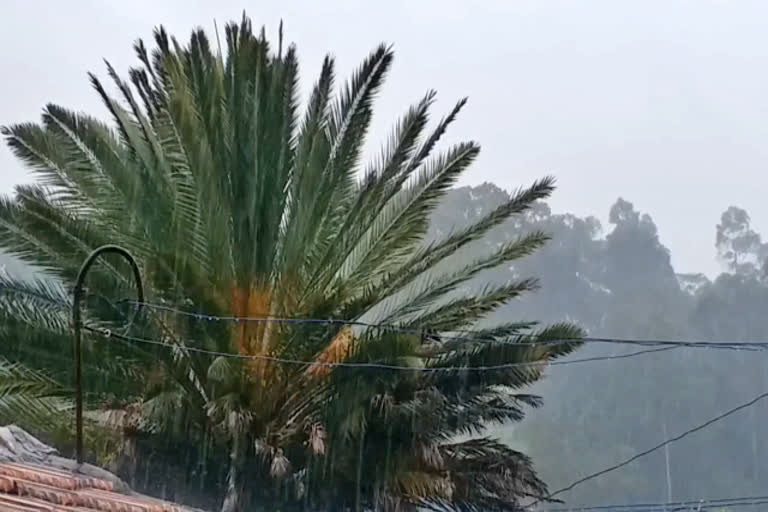 மழை  மழை செய்திகள்  நீலகிரி குன்னூரில் மழை  heavy rain  கனமழை  kunnur rain  kunnur farmers felt happy because of heavy rain  farmers felt happy because of heavy rain  குன்னூரில் பெய்த மழையால் விவசாயிகள் மகிழ்ச்சி  குன்னூரில் மழை  ஜிம்கானா தடுப்பணை  கரன்சி தடுப்பணை  பர்லியார் அணை