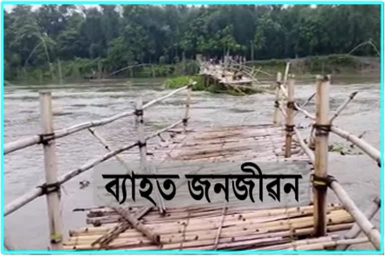 উত্তৰ অভয়াপুৰীত বাঢ়নী পানীয়ে ব্যাহত কৰিছে জনজীৱন