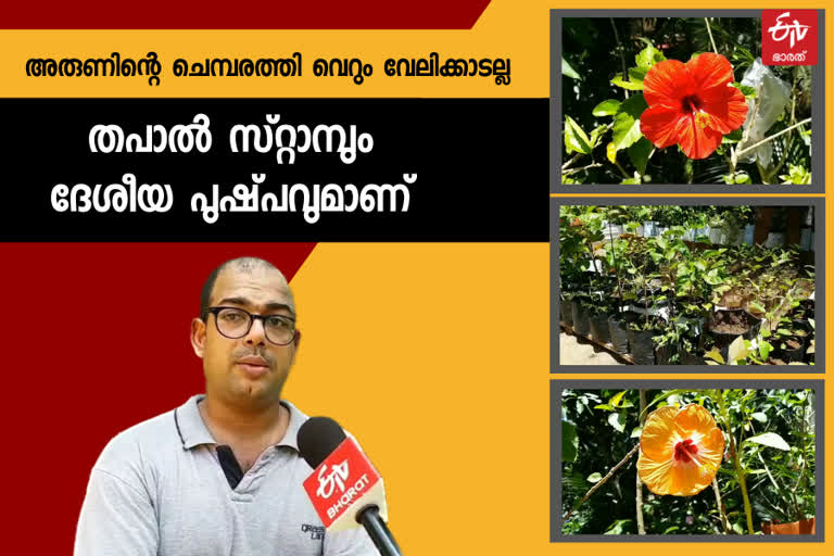 rare-200-verities-of-hibiscus-garden-in-kozhikode-pookkad