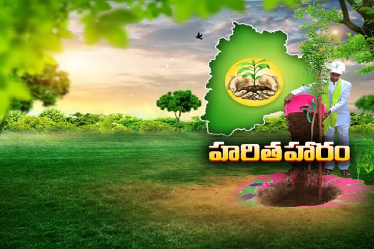 ఆకుపచ్చని తెలంగాణే లక్ష్యంగా.. నేటి నుంచి ఏడో విడత హరితహారం